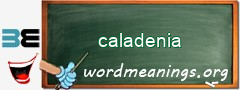 WordMeaning blackboard for caladenia